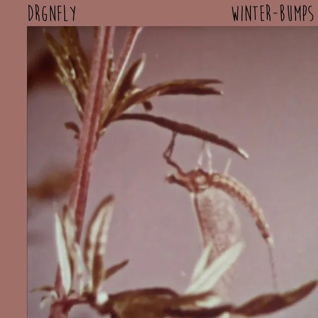 Winter-Bumps