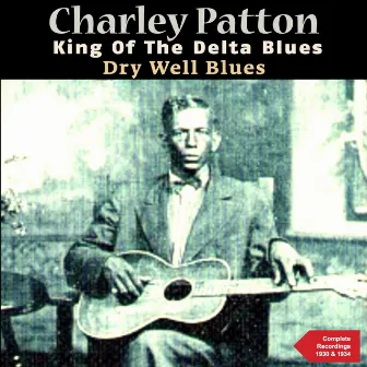 Dry Well Blues (The Complete Recordings 1930 & 1934) by Bertha Lee