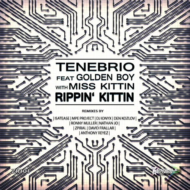 Rippin' Kittin - Anthony Reyez Remix