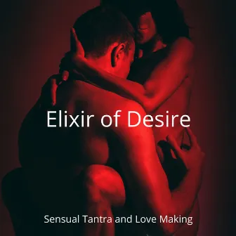 Elixir of Desire: Sensual Tantra and Love Making, Erotic Lounge Massage, Seductive Beats by Tantric Sex!