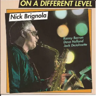 On a Different Level by Nick Brignola