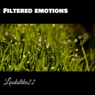 Filtered Emotions by Lookslike22