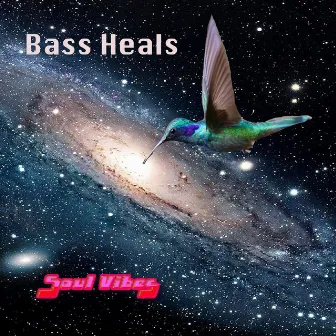 Bass Heals by Soul Vibes