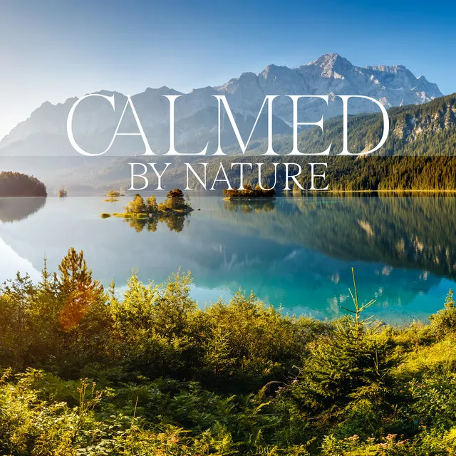 Relax with Nature Sounds