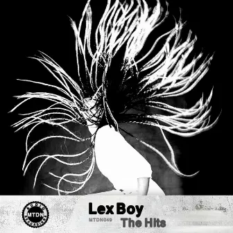 The Hits by Lex Boy