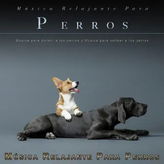 Música Relajante Para Perros: Música para dormir a los perros y Música para calmar a los perros by Música Para Perros