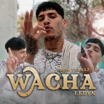 Wacha by Ledyn