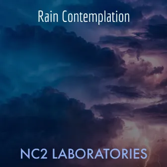 Rain Contemplation by NC2 LABORATORIES