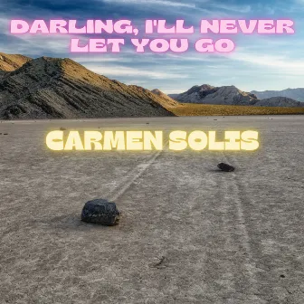 Darling, I'll Never Let You Go by Carmen Solis