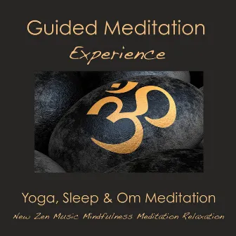 Guided Meditation Experience: Yoga, Sleep & Om Meditation - New Zen Music, Mindfulness Meditation Relaxation by Meditation Spirit