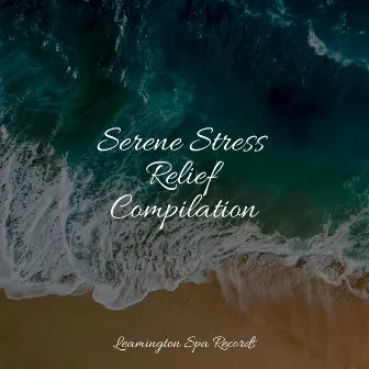 Serene Stress Relief Compilation by Oasis of Meditation