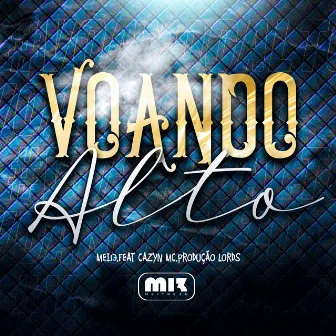 Voando Alto by Unknown Artist