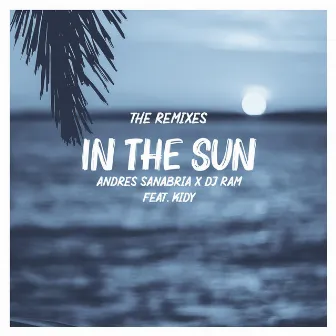 In the Sun (The Remixes) by Kidy