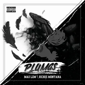 Plumas by Richie Montana