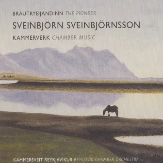 Sveinbjörn Sveinbjörnsson - Brautryðjandinn by Sveinbjörn Sveinbjörnsson