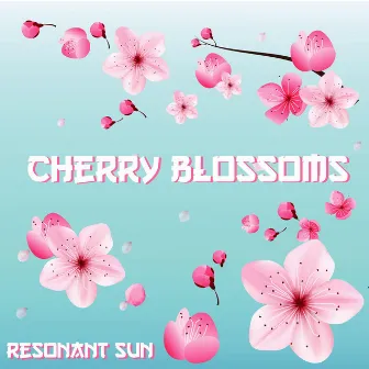 Cherry Blossoms by Resonant Sun