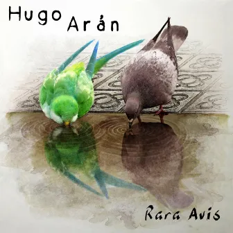 Rara Avis by Hugo Arán