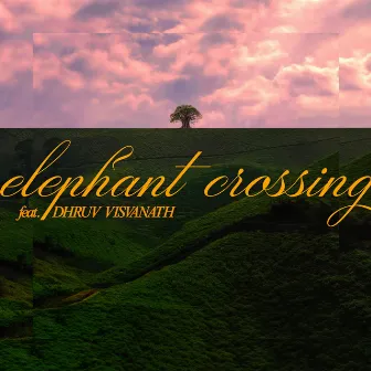 Elephant Crossing~ (A Late Afternoon Special) by Edwin Raphael