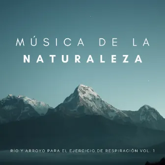 Música De La Naturaleza: Sueños De Las Corrientes Vol. 1 by Máquina de Ruido Blanco