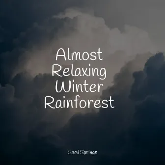 Almost Relaxing Winter Rainforest by Rain Hard