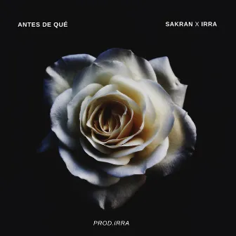 Antes de qué by IRRA