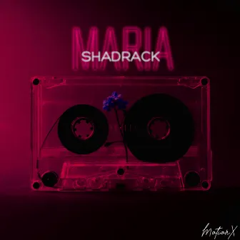 Maria by Shadrack