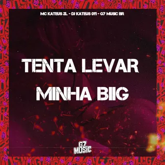 Tenta Levar Minha Biig by mc kateus zl