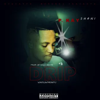 Drip Ep by P.Kay Shani