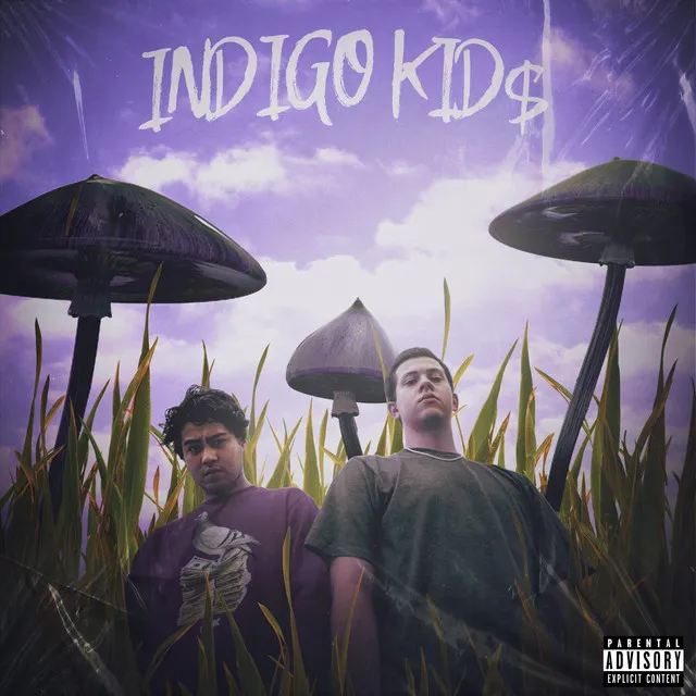 Indigo Kids