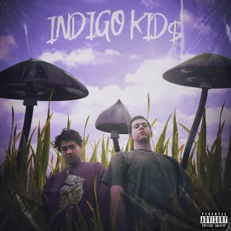 Indigo Kids by Arrez