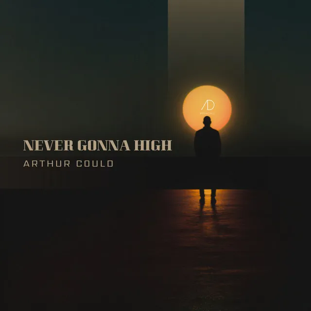 Never Gonna Hight