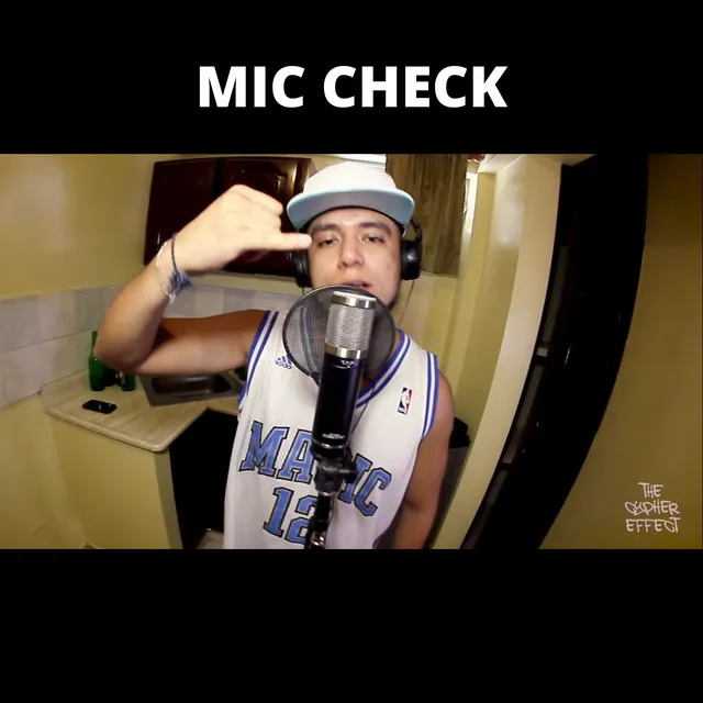 Mic Check