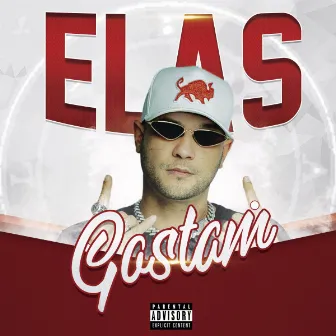 Elas Gostam by Laab MC