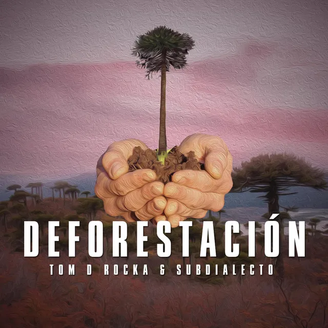 Deforestacion