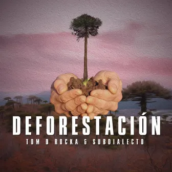 Deforestacion by Tom D. Rocka