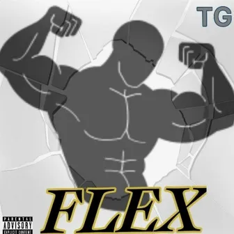 Flex by TG