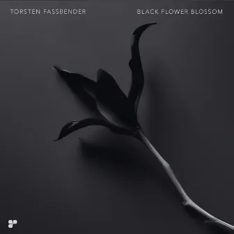 Black Flower Blossom by Torsten Fassbender