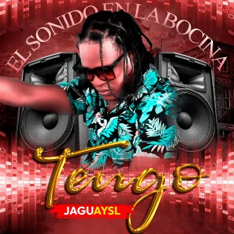 Tengo by Jaguay Sl