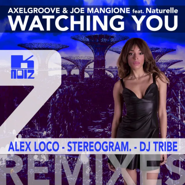 Watching You (Remixes)