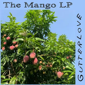 The Mango Lp by GutterLove