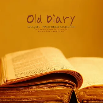 An old diary by Soul Cube