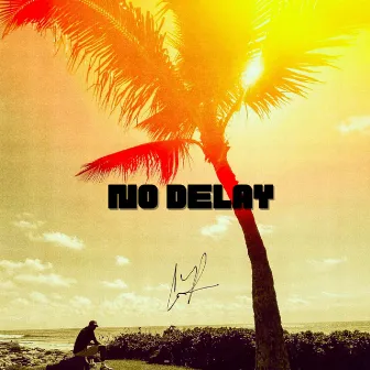 No Delay by C. Price