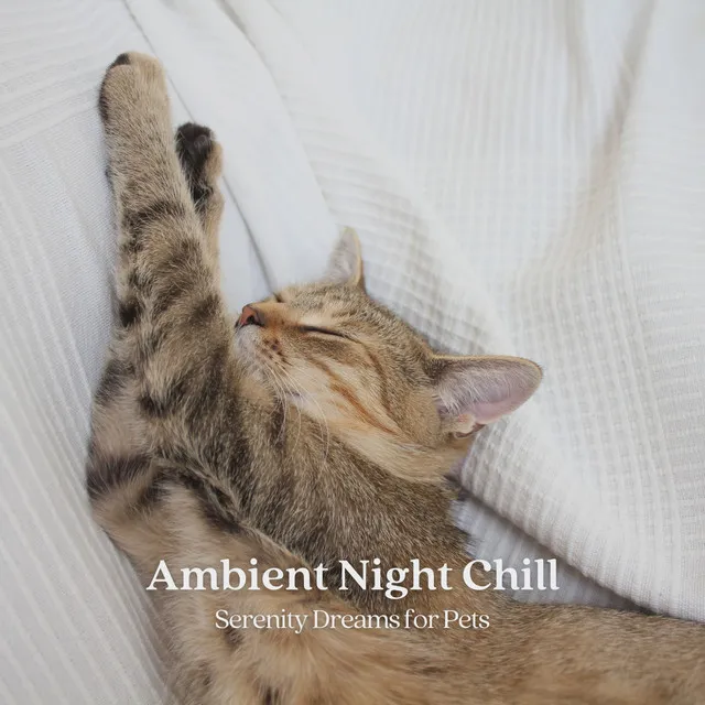 Ambient Night Chill: Serenity Dreams for Pets