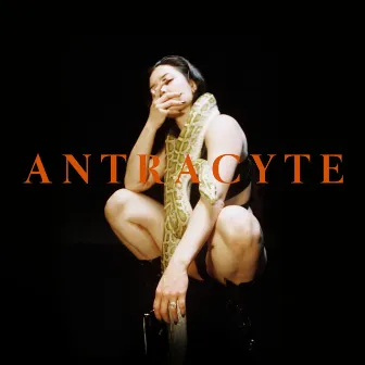 Antracyte by Mulay