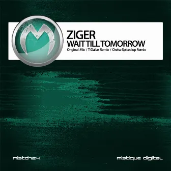 Wait Till Tommorow by Ziger