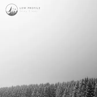 Grey Lines by Low Profile