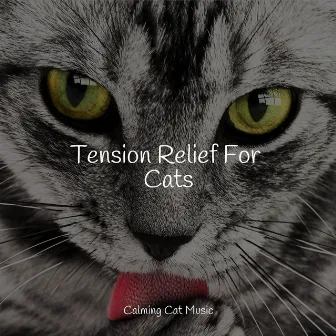 Tension Relief For Cats by Music for Cats Project