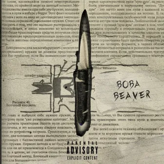 Бросок на юг by Вова Beaver