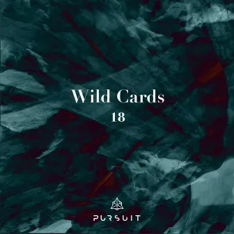 Wild Cards 18 by AGAP