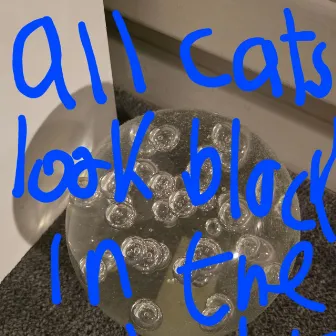 All cats look black in the night by John Donegan